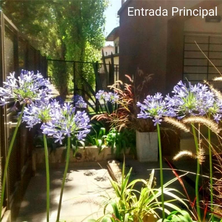 HOMES - HOME - SAN ISIDRO - LOMAS, NORTHERN GREATER BUENOS AIRES