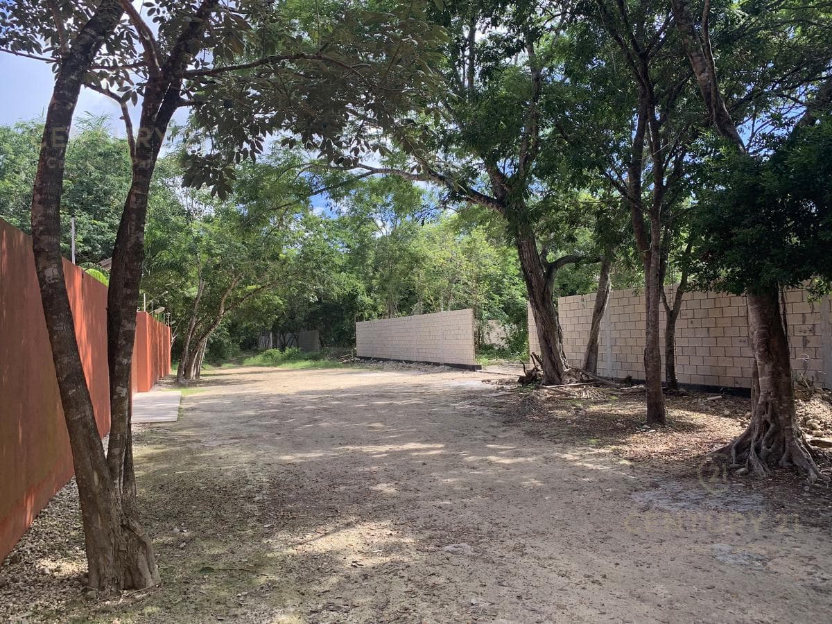 Residential Lot for Sale in Puerto Morelos | Spacious Lot Near the Mexican Caribbean | C3190
