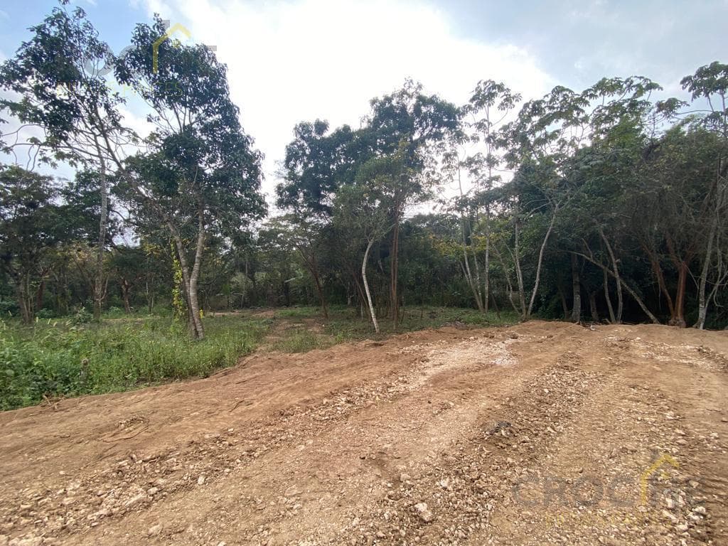 LAND FOR SALE IN LA ESTANZUELA, VERACRUZ