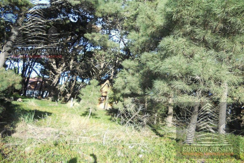 Excellent Lot in Las Camelias, Costa Del Este