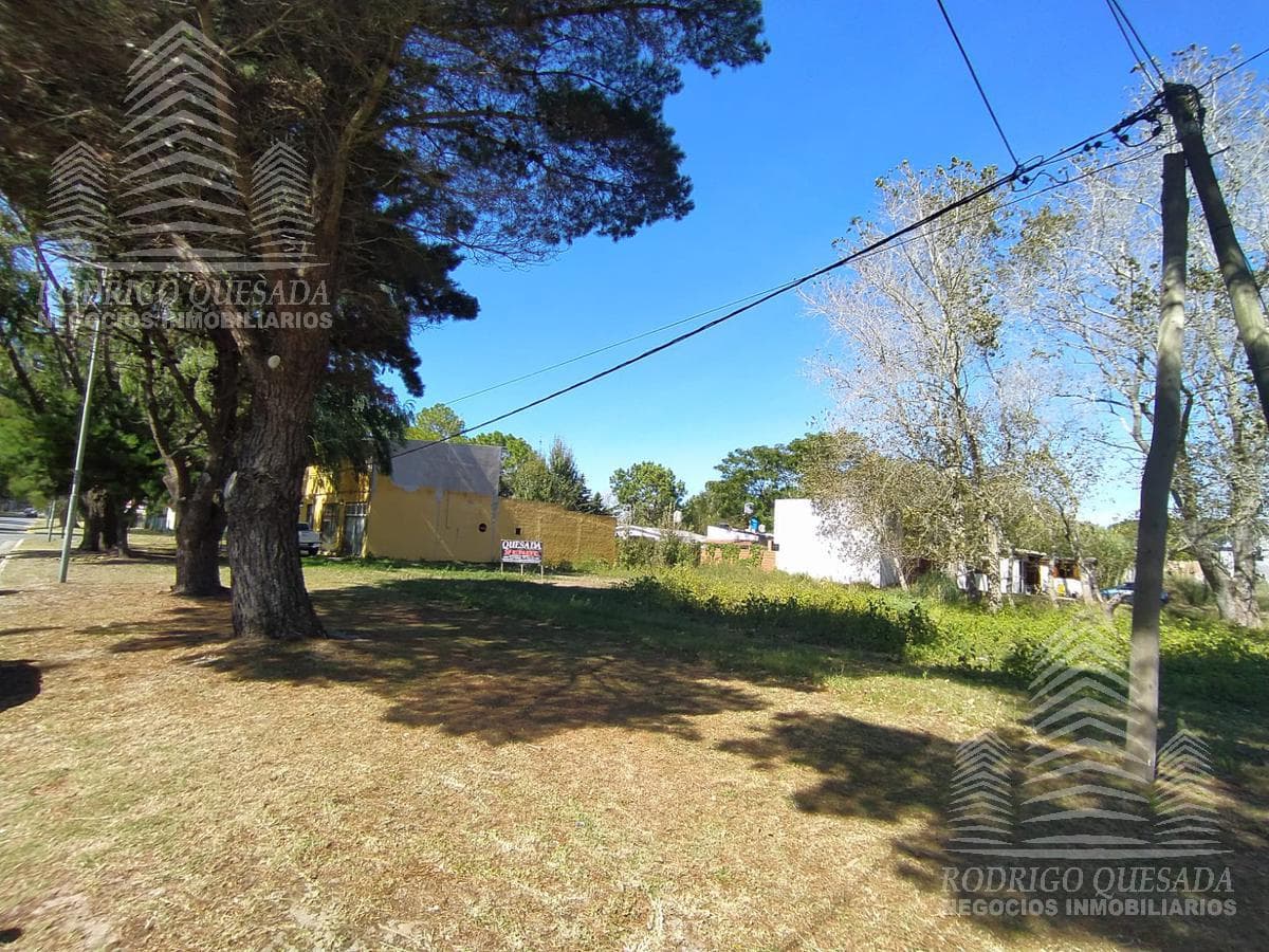 Lot on a collector road between 24th and 25th Streets—San Bernardo!