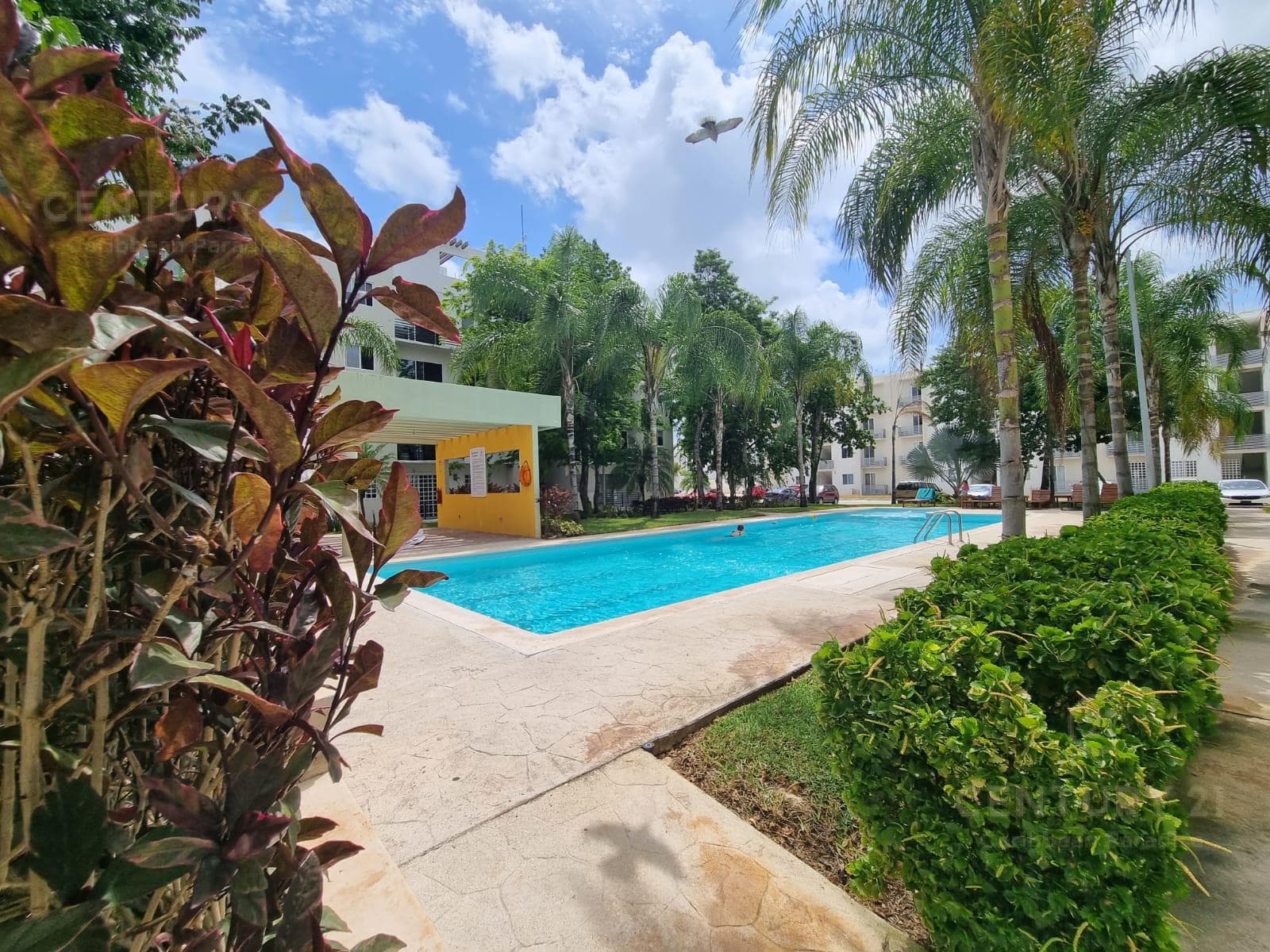 Furnished 3-bedroom apartment for rent in Los Olivos, Playa del Carmen P3505