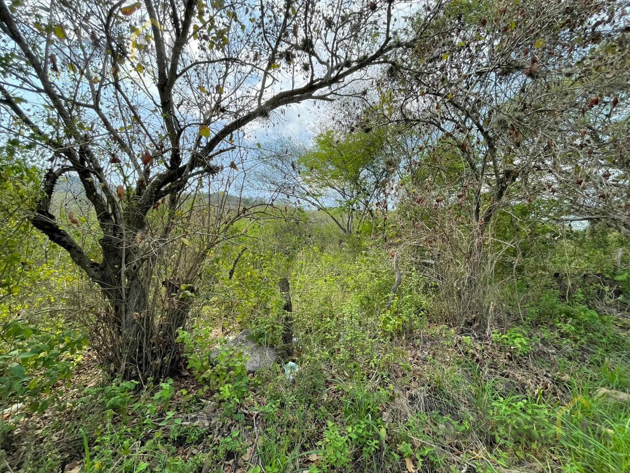 Land for sale in Actopan, El Pedregal area