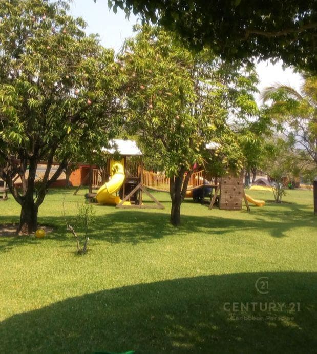Land for Sale in Tepexco, Puebla C3020