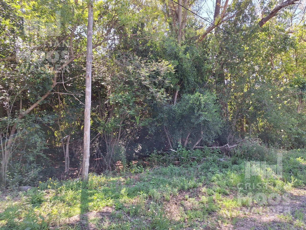 Land for sale with financing from Garin.