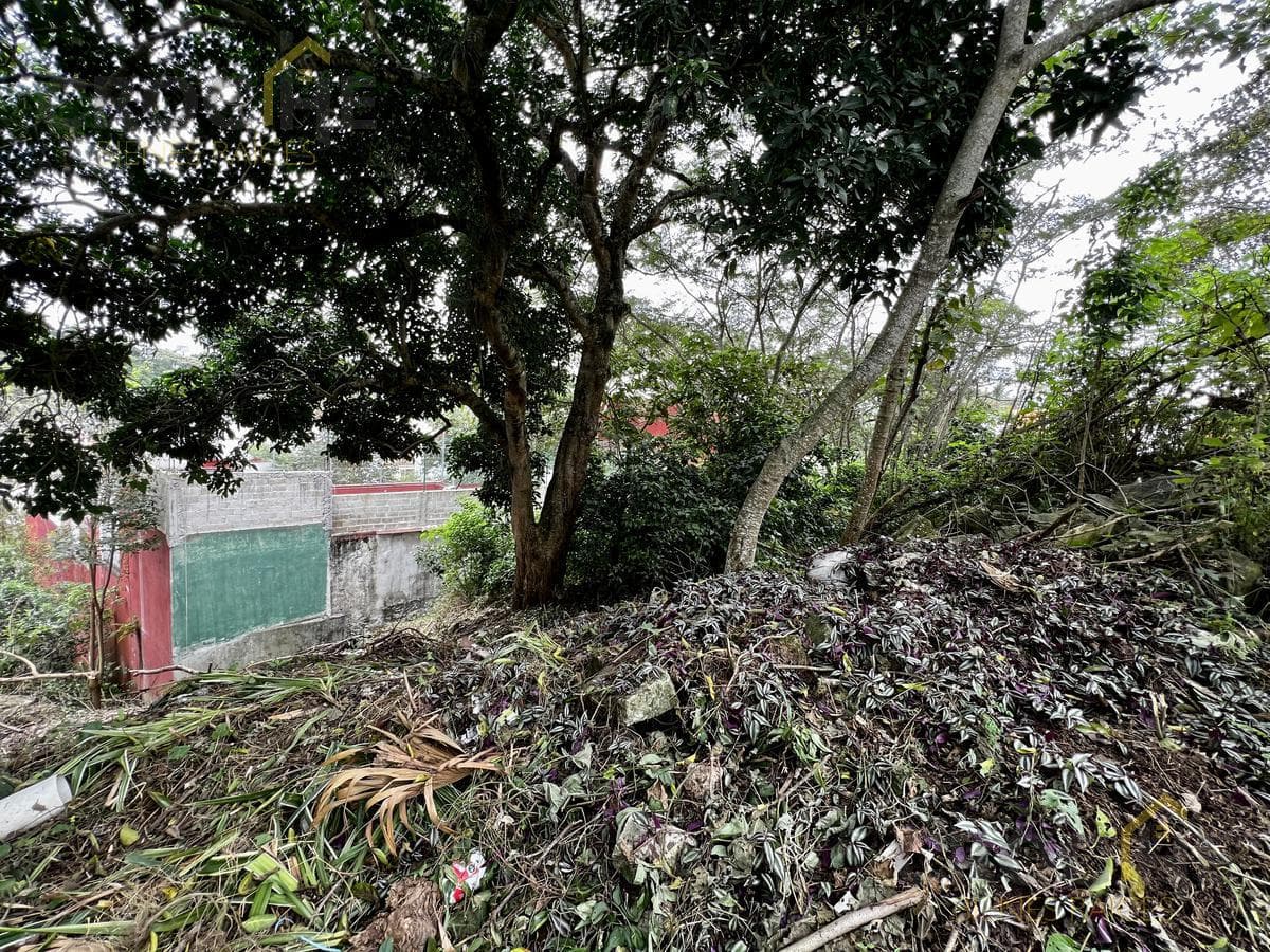 Land for sale in Xalapa, behind the Volkswagen Araucarias