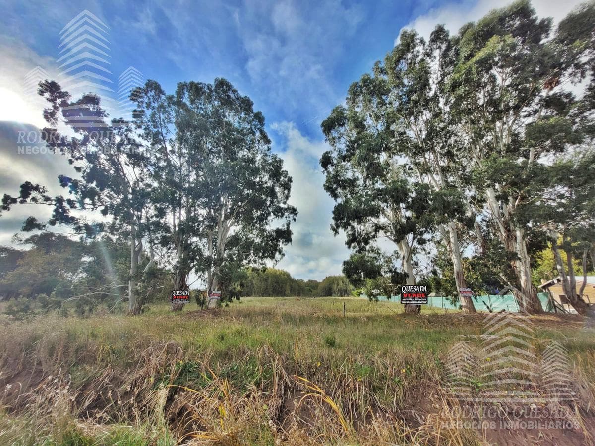 Farm in Paraje Pavón