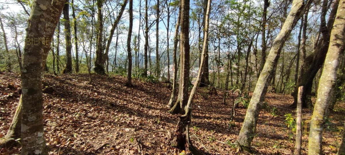 LAND FOR SALE IN XALAPA IN THE LUZ DEL BARRIO NEIGHBORHOOD
