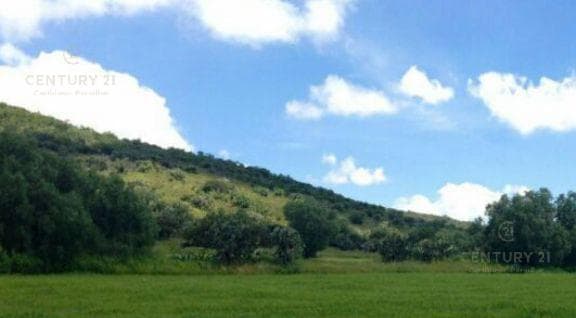For Sale: 2 Plots of Land in Jolalpán, Municipality of Tepetlaoxtoc, Texcoco, State of Mexico. C3021