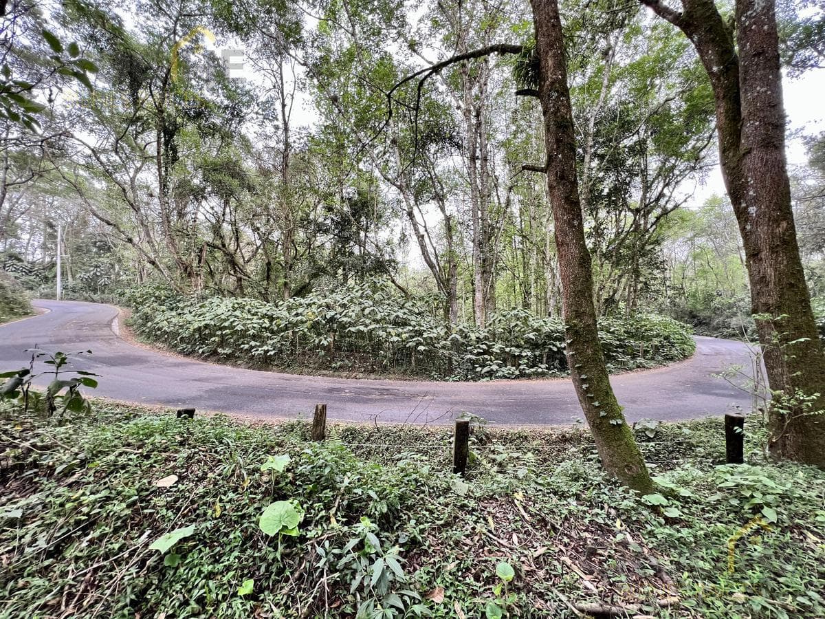 Land for sale in Rancho Viejo, Veracruz, in the Coapexpan area.