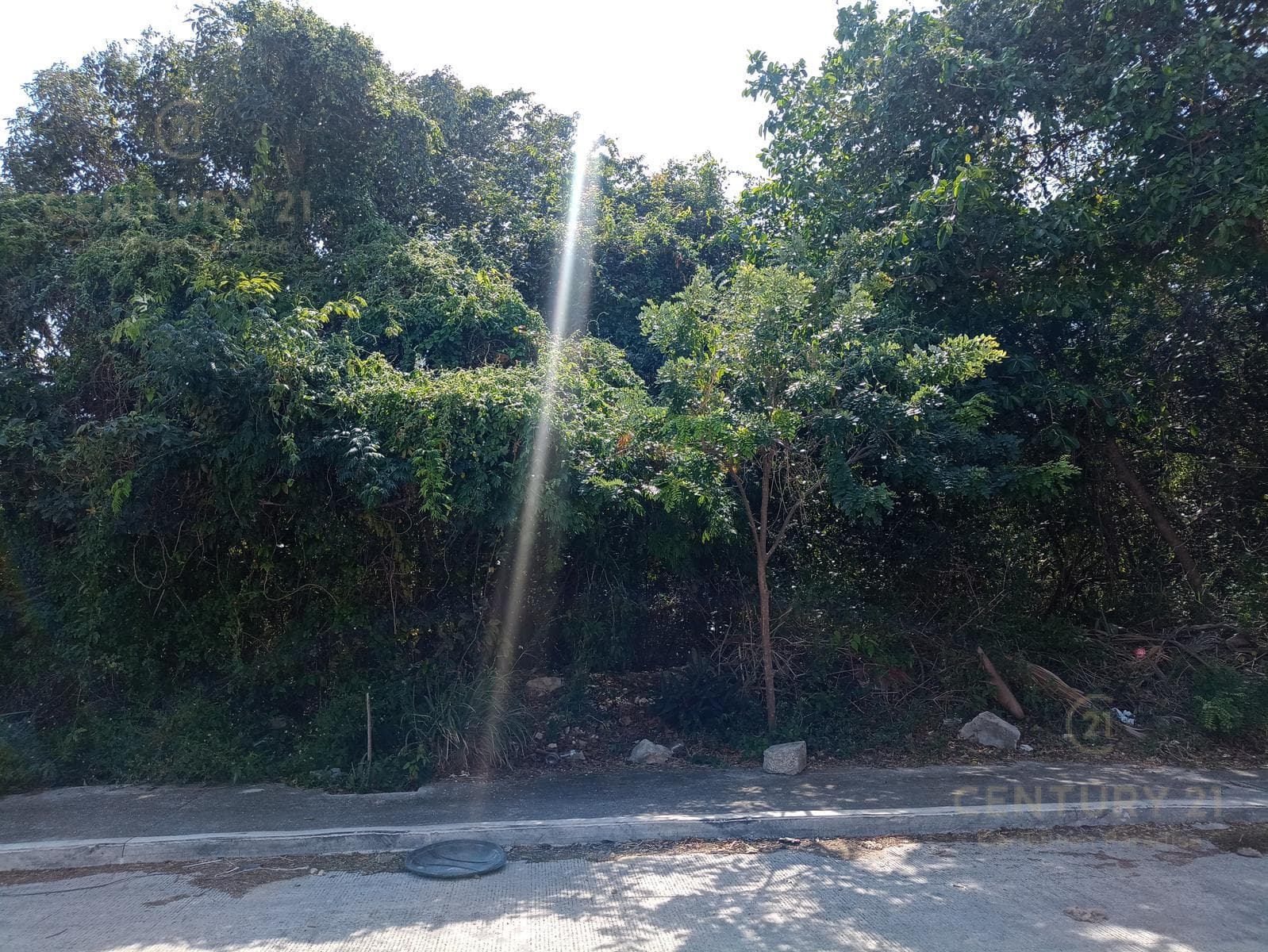 Land for Sale or Rent in Ejido Sur, Playa del Carmen C3898