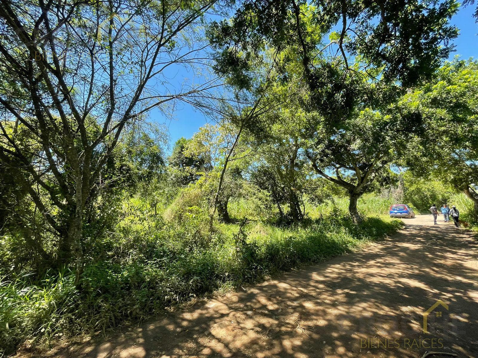 Land for sale in Castillo, Xalapa, Ver.