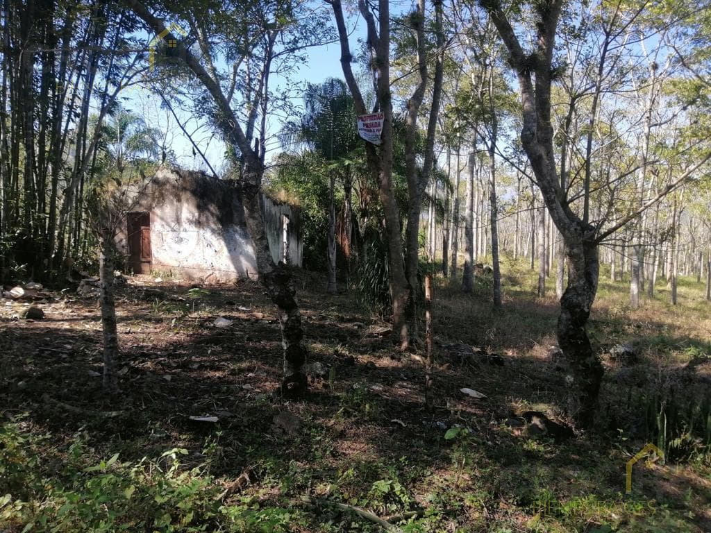 LAND FOR SALE IN LA CONCEPCIÓN, VERACRUZ