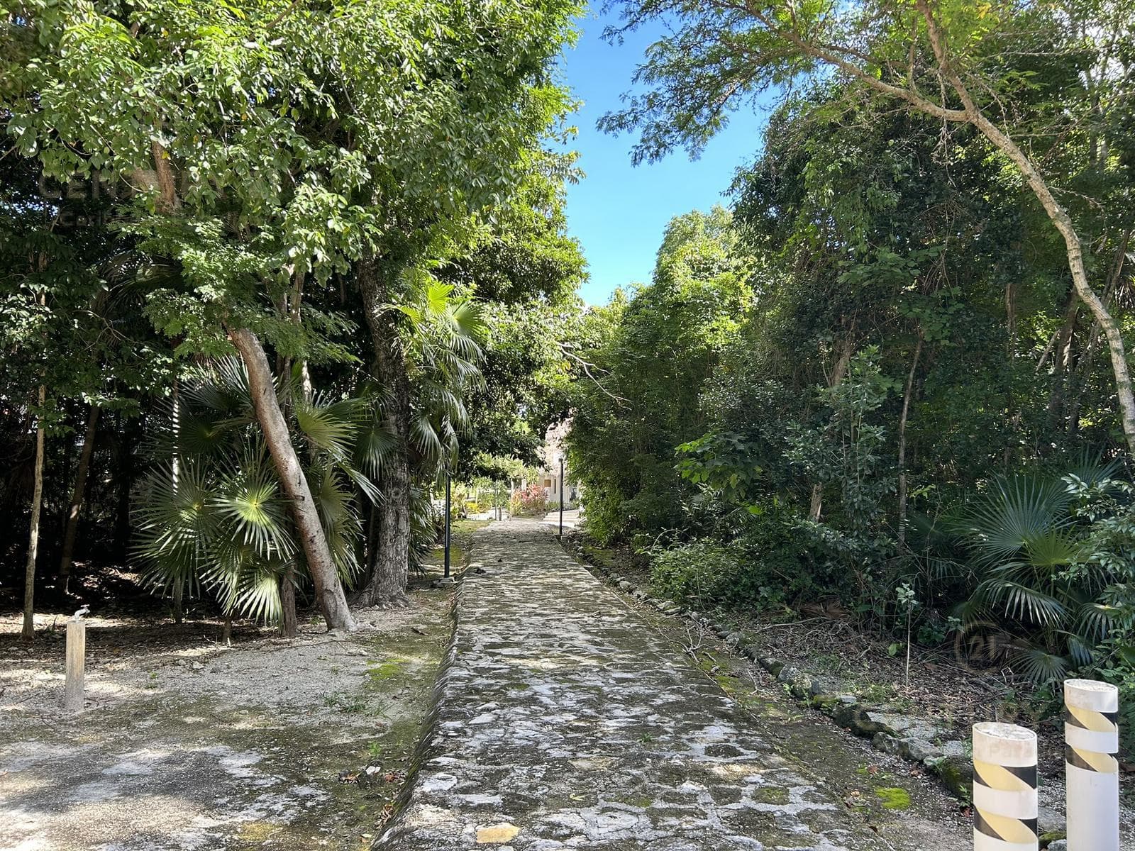 Residential Lots for Sale in Aldea Kaan, Puerto Morelos | 2 Minutes from the Caribbean Sea | C3178