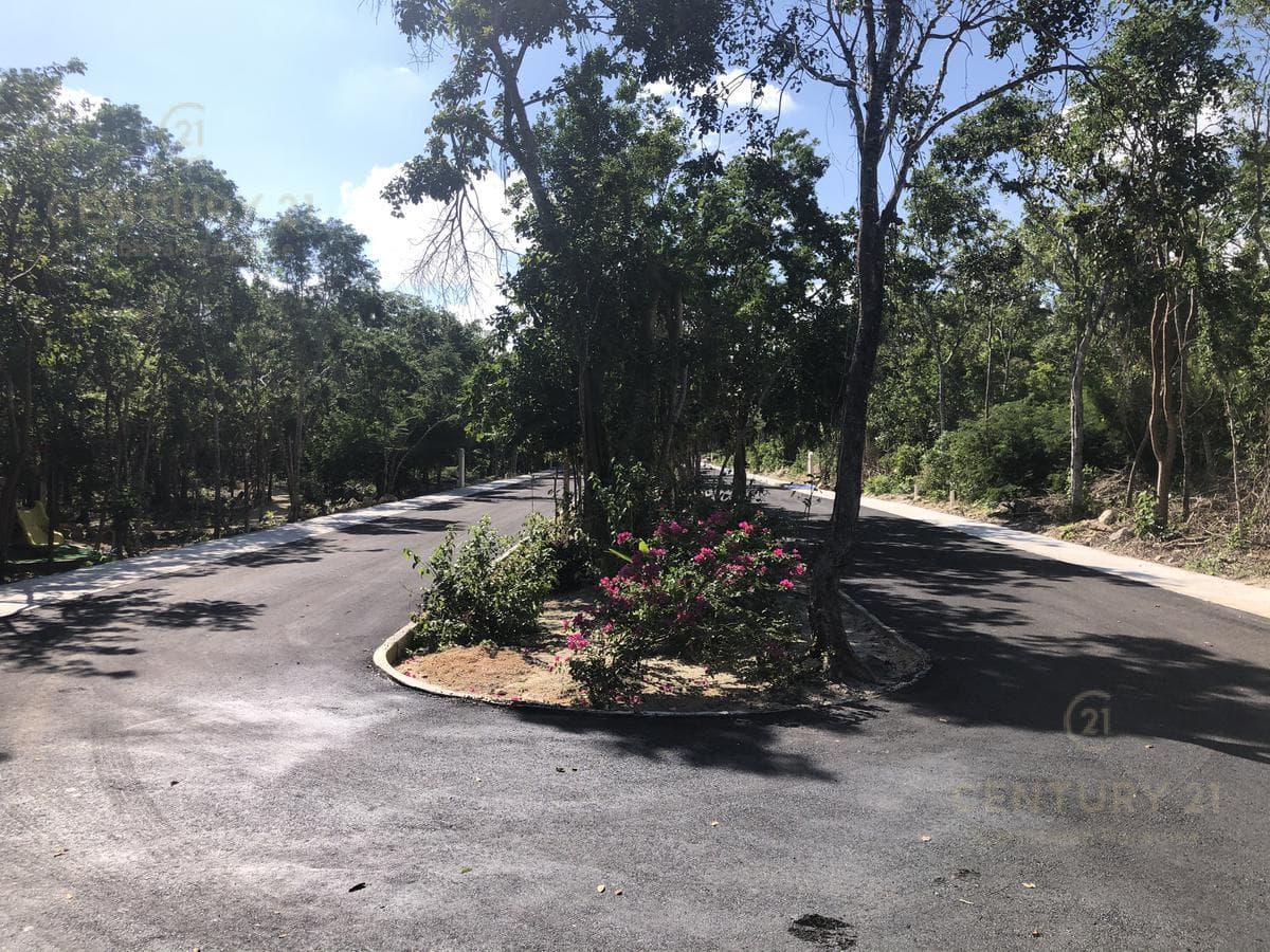 Lots for Sale in a Beautiful Residential Development in Xpu-Ha, Riviera Maya P2524