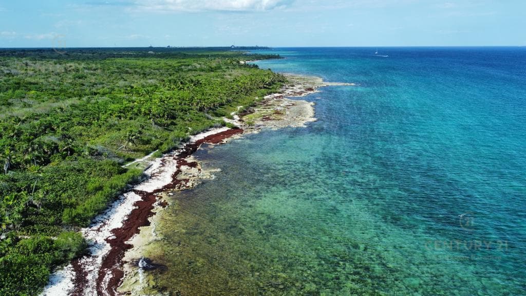 Oceanfront Hotel Lot for Sale in Playa del Carmen | High-End Tourism Project | P3758