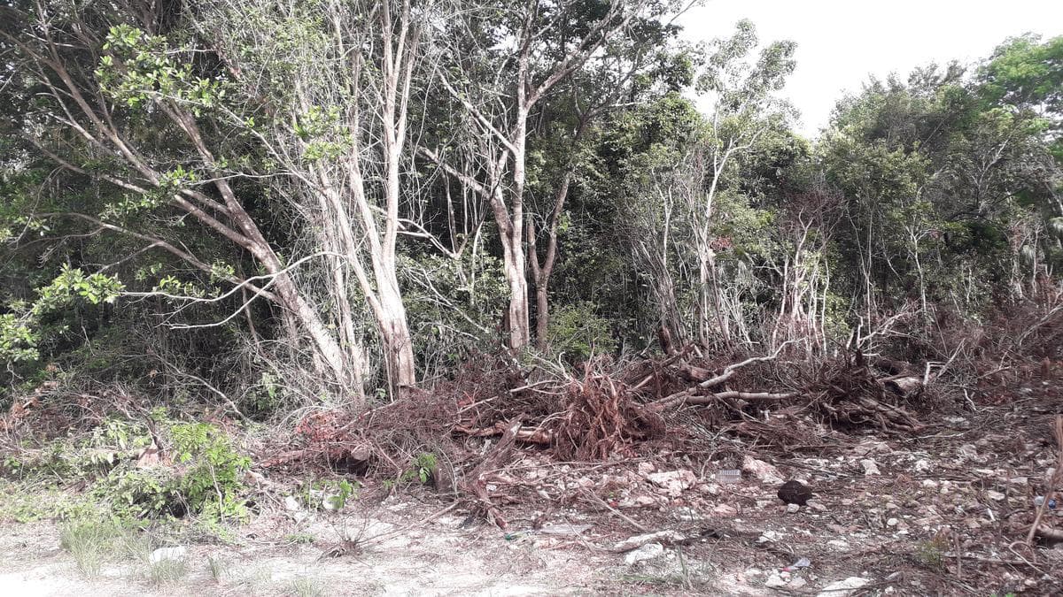 2 Lots for sale at the corner of Nogal Street and Mañanitas Street, Lots 1 and 2, C3149