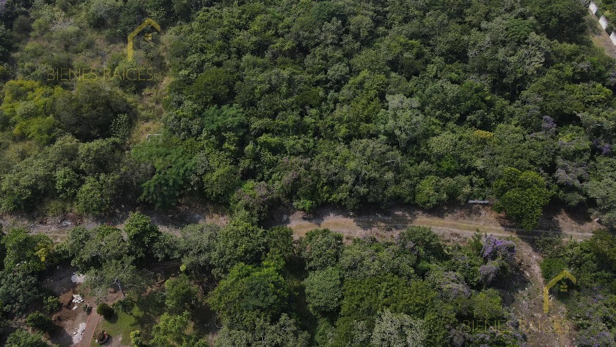 Land - Xalapa
