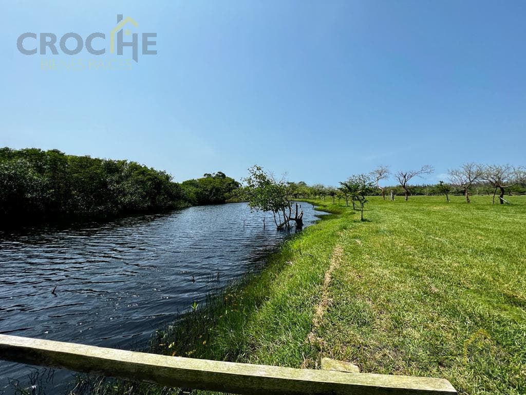 Land for Sale in the Costa Esmeralda Beach Area, Veracruz, Riachuelos