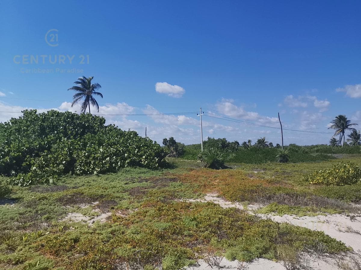 Oceanfront Lot for Sale in Mahahual with 20 Meters of Beachfront | P2699