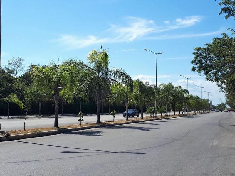 Commercial Lot for Sale on Av. Universidades, Arrecifes, Playa del Carmen, P2611