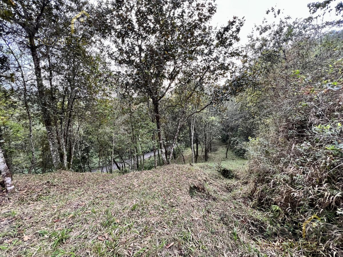 Land for sale in Rancho Viejo, Veracruz, in the Coapexpan area.
