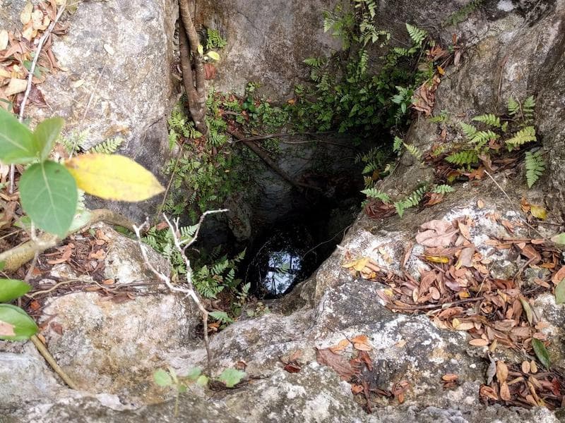 Large Lot with a Cenote for Sale in Leona Vicario C1939