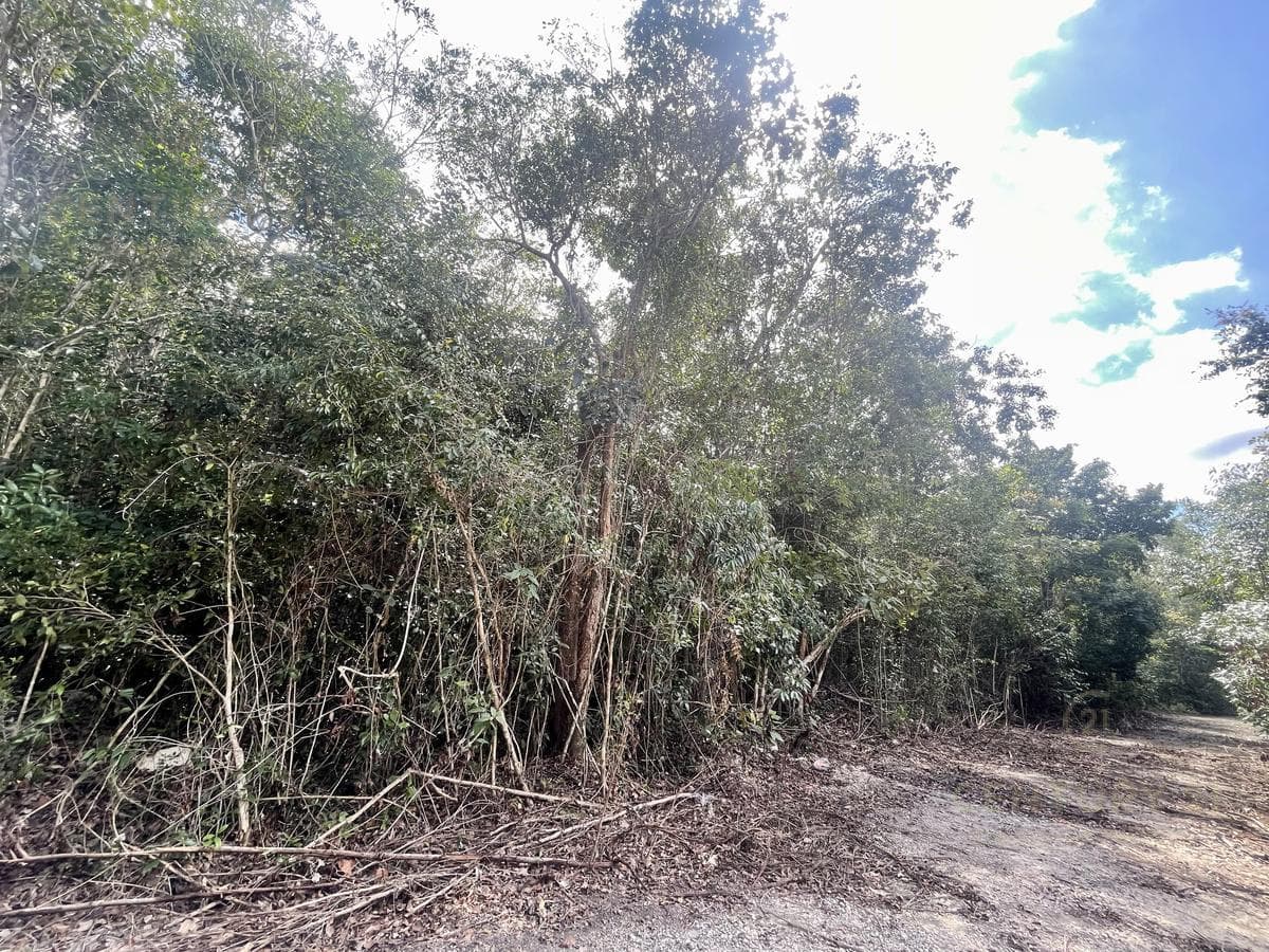1-hectare lot for sale in Puerto Morelos P3943
