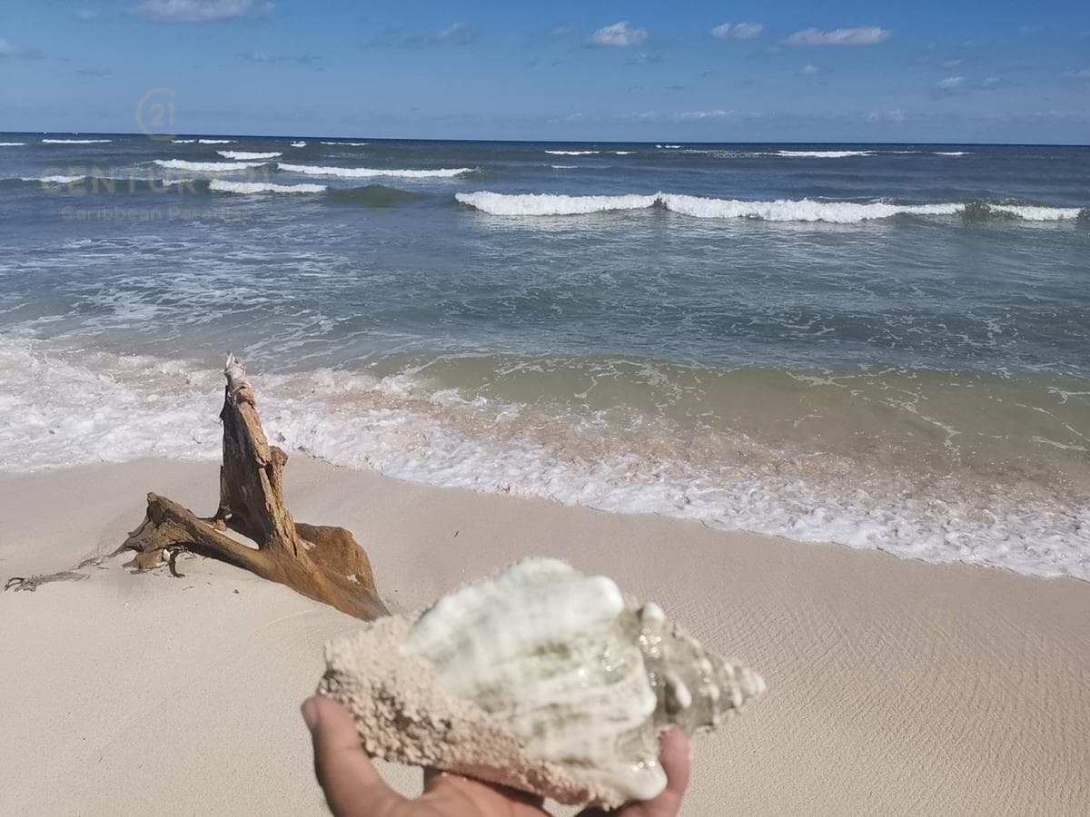 Oceanfront Lot for Sale in Mahahual with 20 Meters of Beachfront | P2699