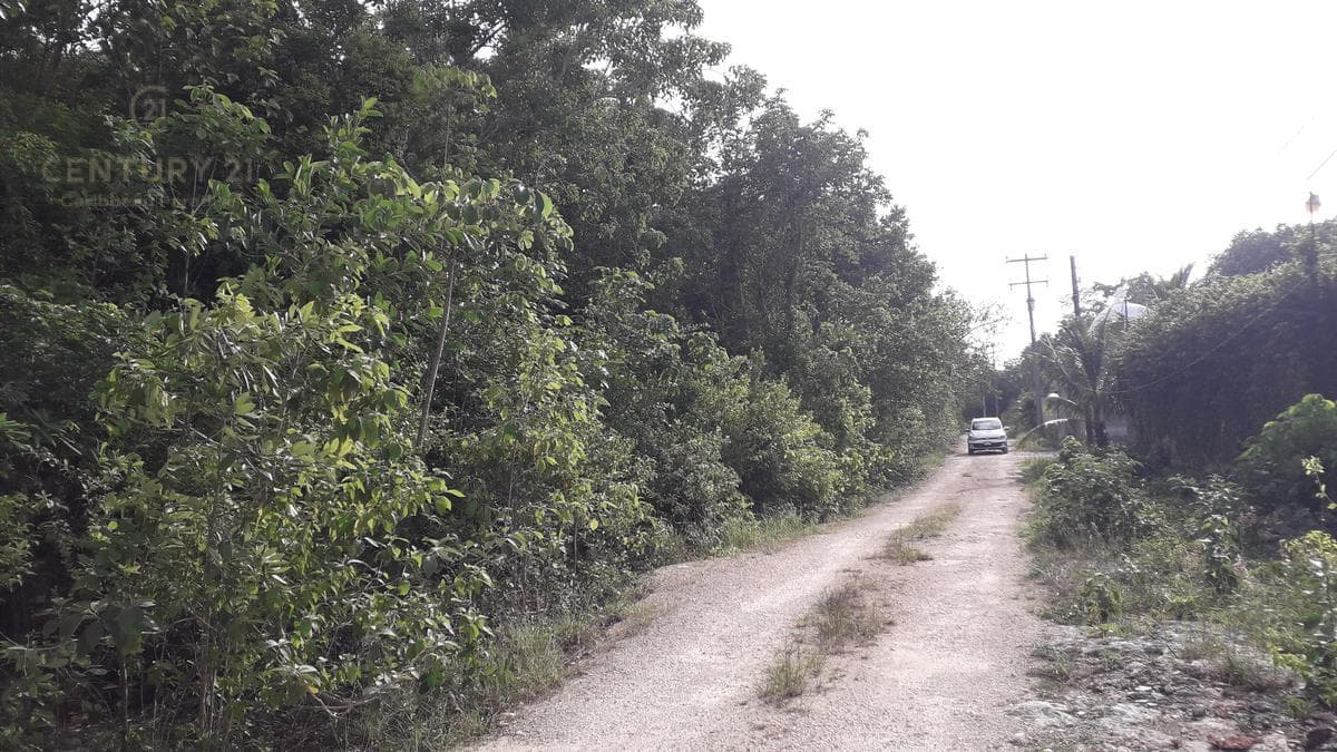 2 Lots for sale at the corner of Nogal Street and Mañanitas Street, Lots 1 and 2, C3149