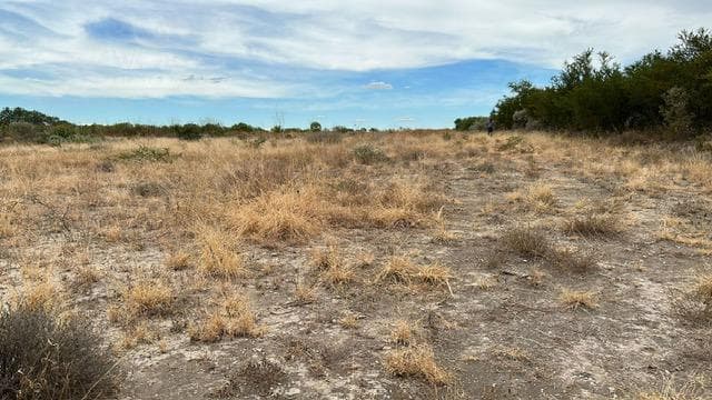 Land in Cadereyta Jiménez