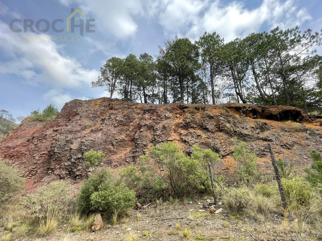 Land for sale in Las Vigas, Cerro Colorado area