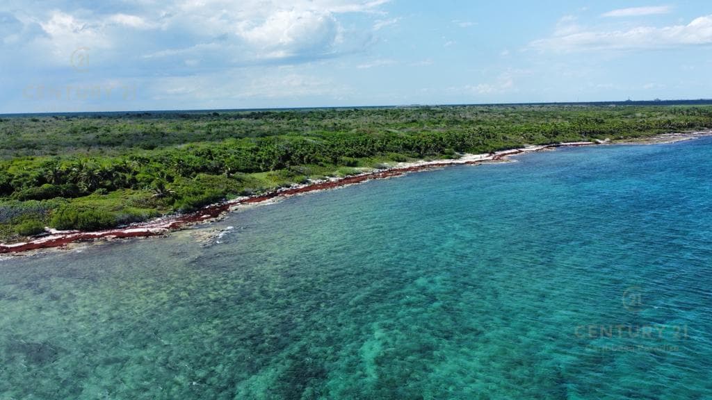 Oceanfront Hotel Lot for Sale in Playa del Carmen | High-End Tourism Project | P3758