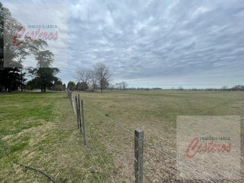6-ha farm, 1 hectare, at the end of Penna Street, "Chacras El Camino"