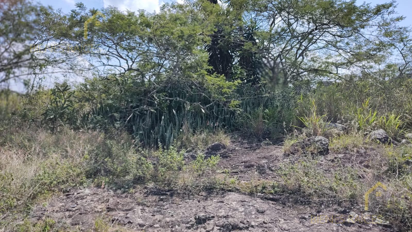 Land in Land for sale in El Chico, Emiliano Zapata municipality