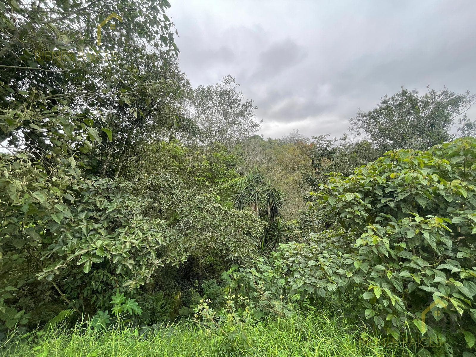 Land for sale in the Bella Vista neighborhood