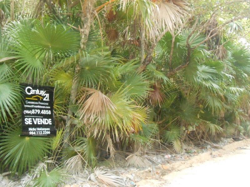 Oceanfront Residential Lot for Sale in Bocapaila | Ideal for Development | P1277