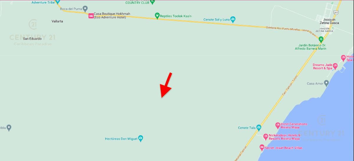 1-hectare lot for sale in Puerto Morelos P3943