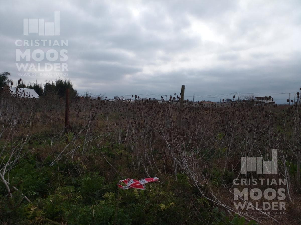 Land for Sale - Ingeniero Maschwitz - Cristian Mooswalder - Real Estate Business