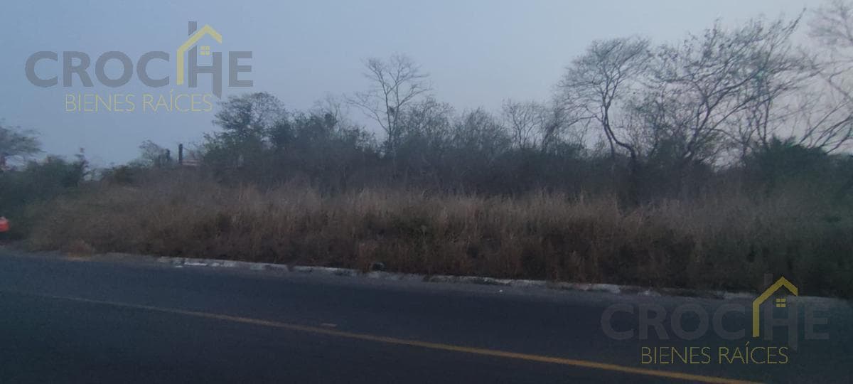 Land for Sale in Paso de Ovejas, Veracruz, Colonia San José