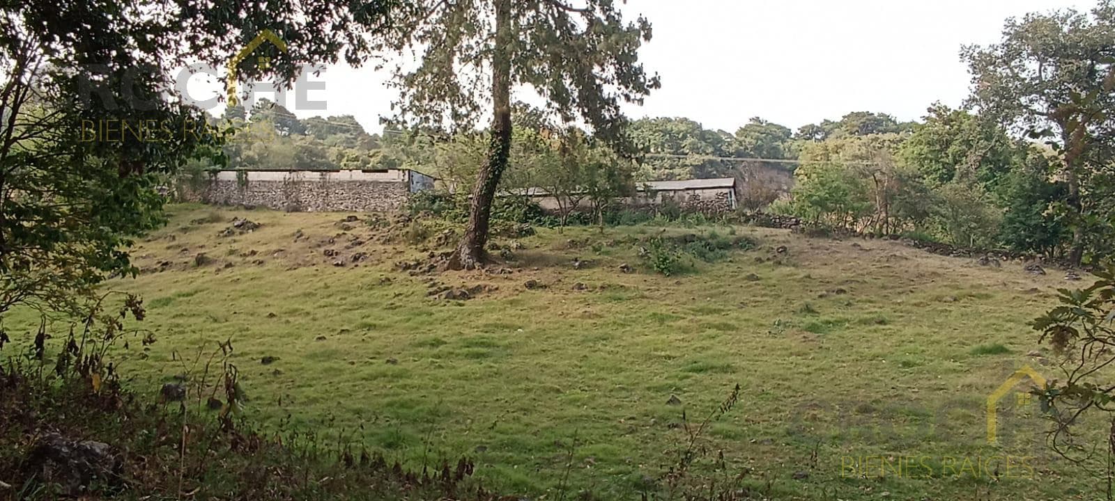 Land for sale in the Linderos neighborhood, Jilotepec, Veracruz.