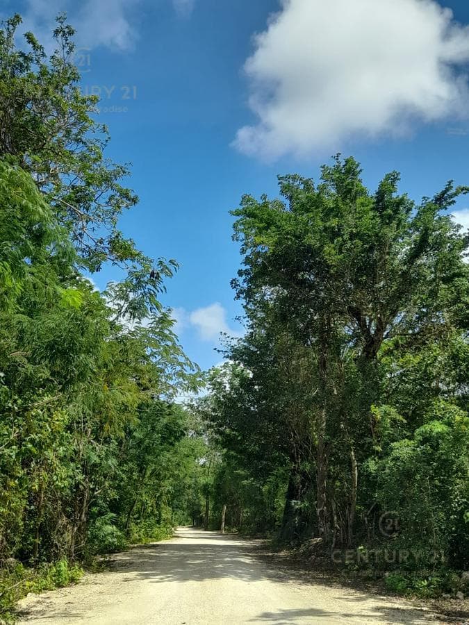Residential Lot for Sale in Aldea Coral Chemuyil | Ideal for Investment | P3911