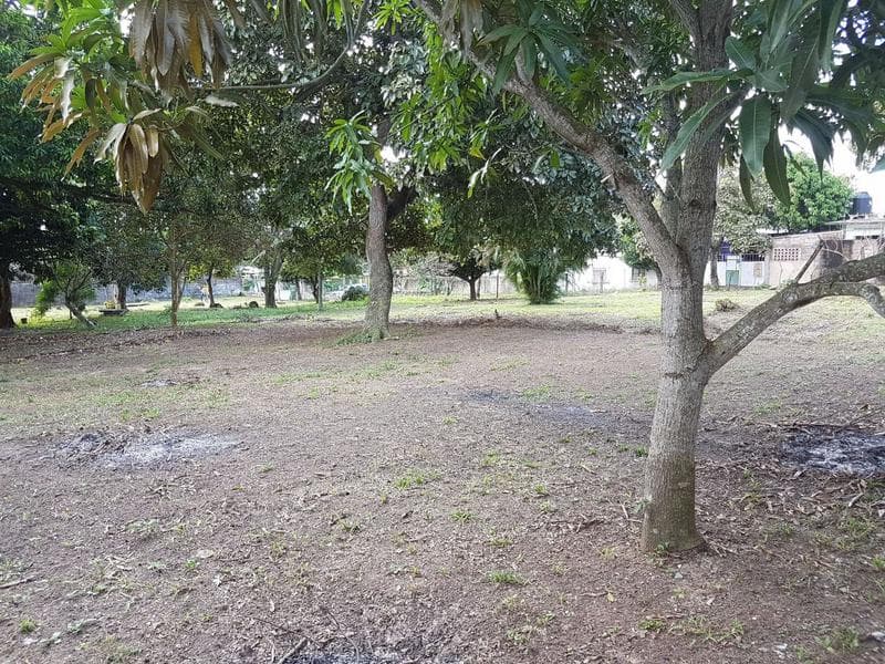 Large Lot, For Sale, Colonia De La Fuente, Minatitlán