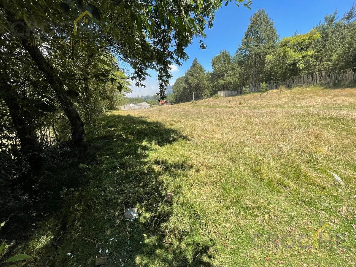 LAND FOR SALE IN THE MANZANILLO NEIGHBORHOOD, LAS VIGAS DE RAMIREZ MUNICIPALITY
