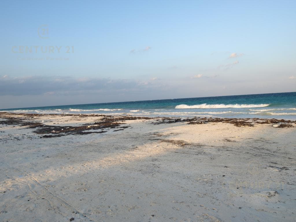 Oceanfront Residential Lot for Sale in Bocapaila | Ideal for Development | P1277