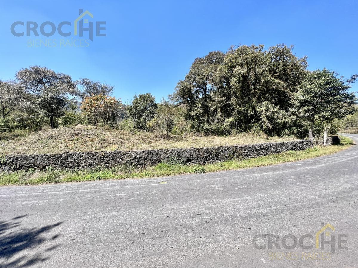 Land for Sale in Coacoatzintla, Veracruz—Property with Deed