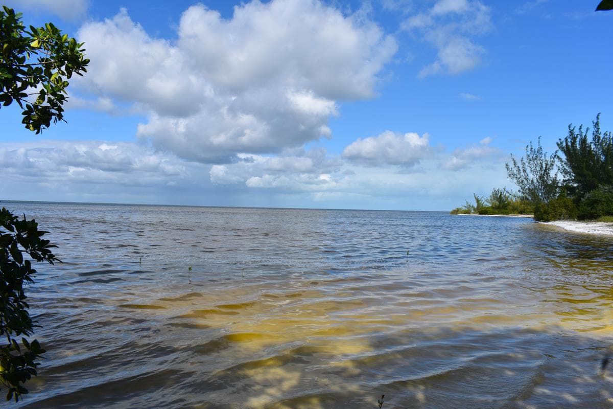 Land for Sale in Isla Blanca, Laguna Chacmuchuc, Cancún