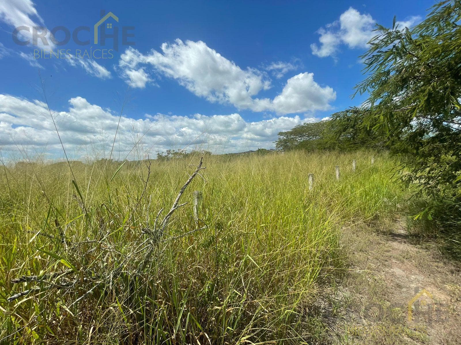 Land for Sale in 2 Ríos, Emiliano Zapata, Veracruz.