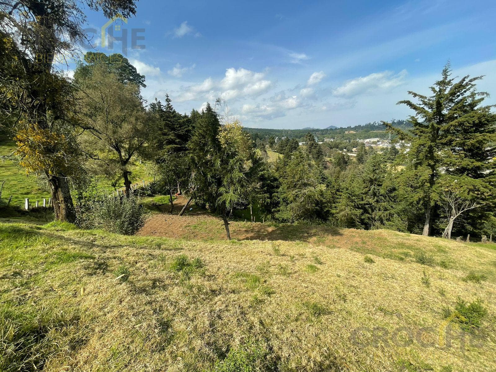 Land for Sale in the Municipality of Las Vigas, Toxtlacoaya Area