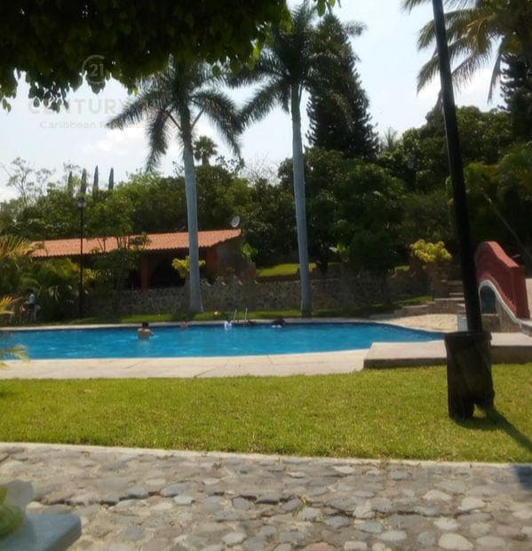 Land for Sale in Tepexco, Puebla C3019